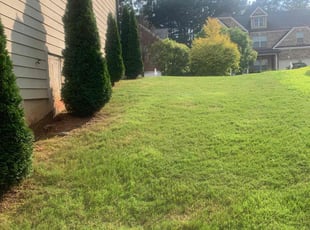Nancy C.'s lawn maintenance service result