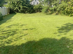 Alejandro B.'s lawn service service result