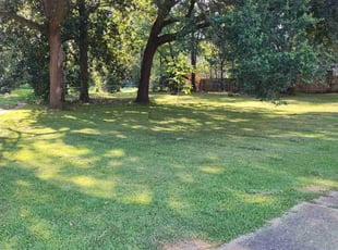 Annissa E.'s lawn care service result