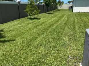 Elizabeth S.'s lawn care service result