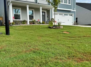 Jason B.'s lawn care service result