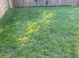 Lavinia W.'s turf maintenance service result