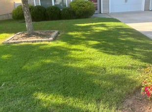 John H.'s grass maintenance service result