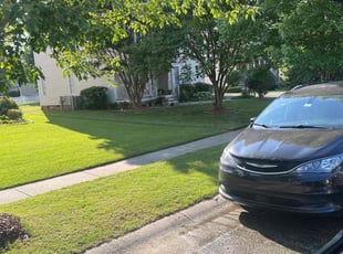 Christina C.'s turf maintenance service result