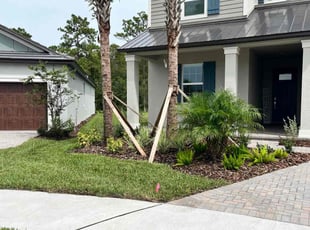 Cesar R.'s lawn maintenance service result