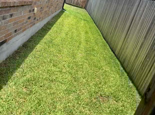 Bill W.'s turf maintenance service result