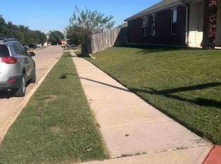 Steve G.'s turf maintenance service result