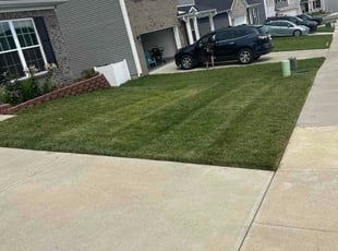 Alvin C.'s lawn service service result
