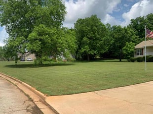 Kat M.'s turf care service result