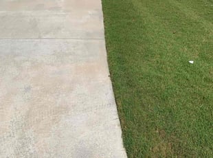Sonya M.'s lawn maintenance service result
