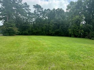 Brian L.'s turf maintenance service result
