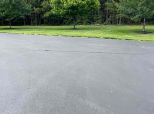 Rene’E T.'s turf maintenance service result