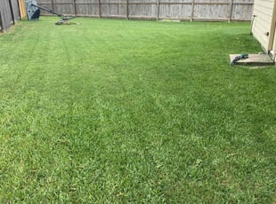 Paige C.'s grass maintenance service result