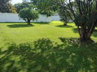 Sally C.'s grass cutting service result