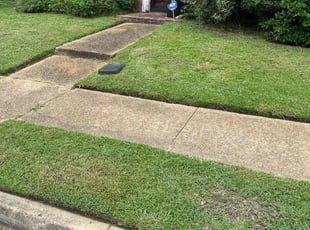 Thomas A.'s lawn care service result