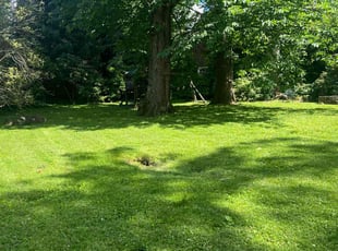 Justin N.'s lawn care service result