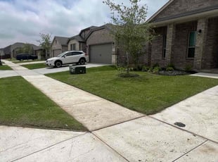 Millicent A.'s lawn care services service result