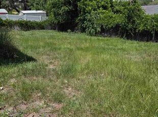 Margaret S.'s turf maintenance service result