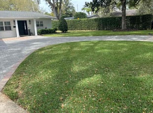 Cassandra H.'s Leaf Removal service result
