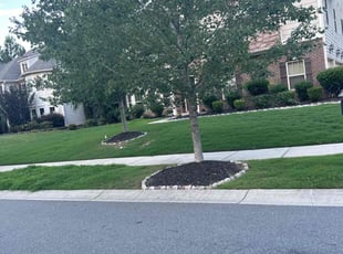 William M.'s grass maintenance service result