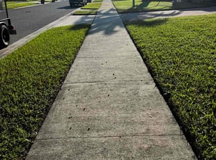 Alita C.'s lawn maintenance service result