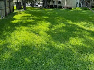 Diana C.'s residential landscaping service result