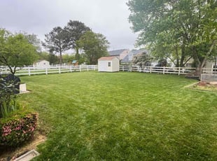 Ciri C.'s grass maintenance service result