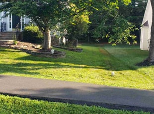 Steve V.'s grass maintenance service result