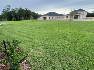 Gaines U.'s lawn care service result