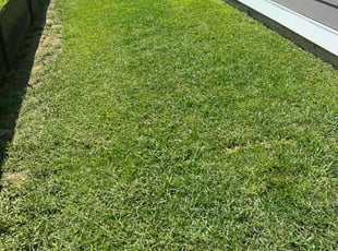 Joseph S.'s lawn service service result