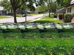 Scarlene A.'s grass cutting service result