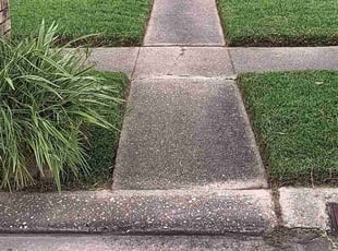 Pam W.'s lawn care services service result