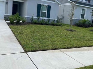 Samuel W.'s lawn maintenance service result