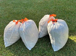 Claire C.'s grass cutting service result