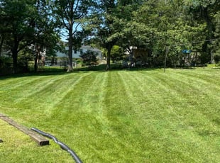 Melissa K.'s grass cutting service result