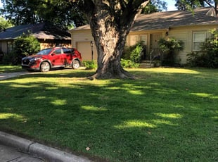 Rayce M.'s lawn service service result