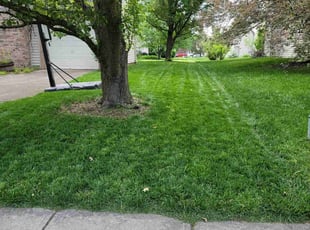 Sandra L.'s lawn care services service result