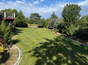 Dina M.'s turf care service result