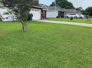 Zeke R.'s grass maintenance service result