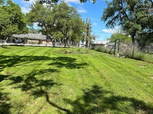 Patricia M.'s turf care service result