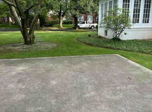 Pamela B.'s grass maintenance service result