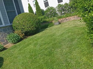 Judith L.'s lawn care services service result