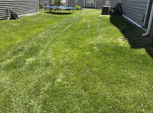 Jacqueline M.'s lawn care service result