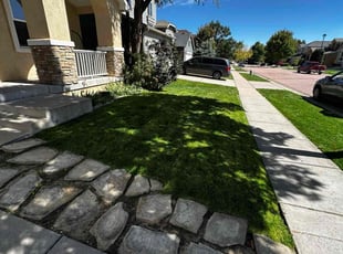 Donna B.'s lawn service service result