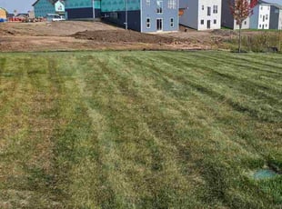 Ronni D.'s turf maintenance service result