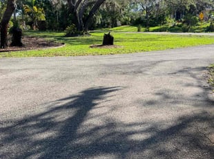 Sheila M.'s lawn maintenance service result