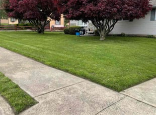 Kathy G.'s lawn service service result