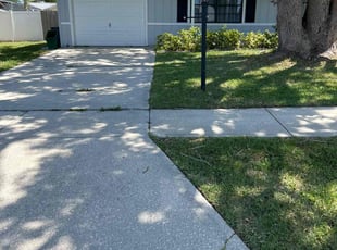Novonda W.'s turf maintenance service result