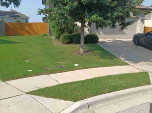 Stephanie S.'s lawn care service result