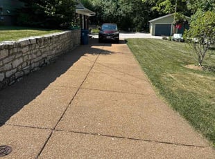Lisa L.'s turf maintenance service result